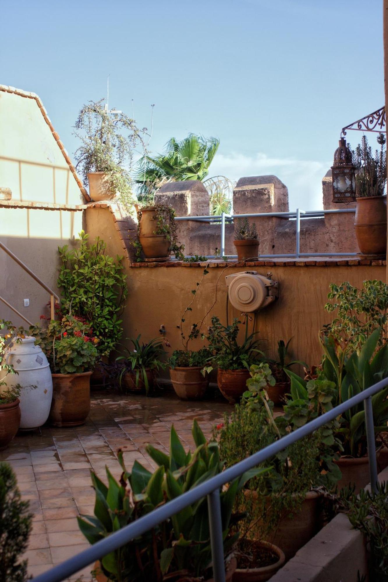 Riad Ahfir 타라우단트 외부 사진